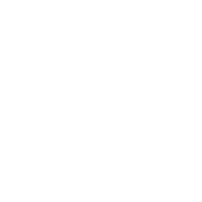 PCB Desining And Layout Icon